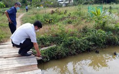 Ngay mùa hạn mặn, người nuôi tôm ở Bạc Liêu thiếu nước mặn nuôi tôm