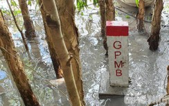 An Giang cần rà soát, đầu tư và nâng cấp ĐT942, ĐT954, ĐT952