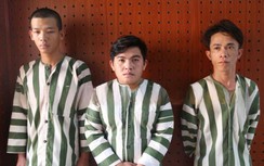 Bắt giữ nhóm đối tượng chuyên thực hiện nhiều vụ cướp trong đêm