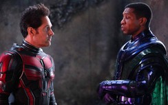 Bị chê tơi tả, vì sao "Người Kiến" 3 vẫn đè bẹp "Nhà bà Nữ" của Trấn Thành?