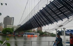 Sập cầu treo Brazil do bị quá tải gấp 5 lần