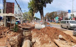 Chặt rễ cây để lát đá vỉa hè, một công ty bị đề nghị xử phạt 40 triệu đồng