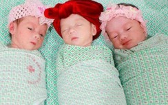 Mổ đẻ thành công ca sinh 3 tự nhiên cùng trứng hiếm gặp