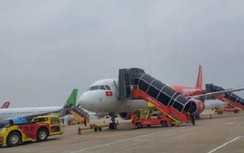 Khỉ xuất hiện tại sân bay Nội Bài, hàng không chỉ đạo khẩn