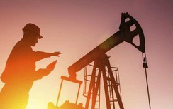 Giá xăng dầu hôm nay 23/2: Giảm mạnh, sắp rớt mốc 80 USD/thùng