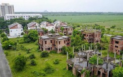 Tăng thuế đất: Không nên đánh đồng đối tượng sử dụng và bỏ hoang