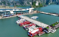 Vì sao người dân chưa đồng thuận việc di dời vào Cảng cao cấp Ao Tiên?
