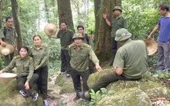 Chuyện những người canh non thiêng Yên Tử