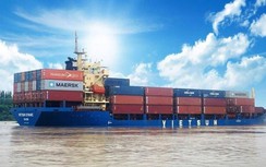 Hãng tàu nội địa thu phí THC như thế nào?