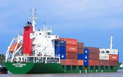 Cước vận tải biển tiếp tục lao dốc