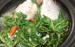 Loại cá giá rẻ bán đầy chợ lại là thực phẩm giàu dinh dưỡng, "bổ đủ thứ"