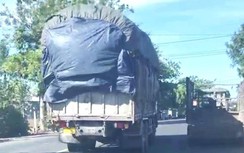 Truy bắt xe quá khổ chạy trên đường phố Kon Tum