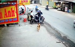 Clip: Băng nhóm dàn cảnh cuỗm xe máy của nữ công nhân nghỉ đẻ bán xôi