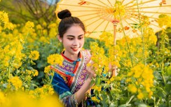 Đến Sa Pa tháng 3 ngắm muôn sắc hoa