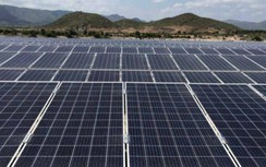 Thoả thuận mua điện gió, mặt trời chuyển tiếp: Bộ Công thương yêu cầu khẩn