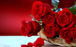 Lời chúc tình cảm nhất ngày 8/3 dành cho vợ, mẹ, mẹ chồng bằng tiếng Anh