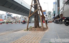 Video: “Cạm bẫy” trên lối đi cho người khiếm thị