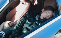 Ca sĩ đình đám bị bắt vì gây va chạm giao thông, nồng độ cồn vượt ngưỡng