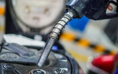 Giá xăng dầu hôm nay 13/3: Phủ sắc xanh do sụp đổ của Silicon Valley Bank