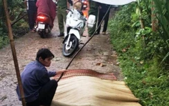 Nam thanh niên đến công an trình diện sau khi gây TNGT chết người