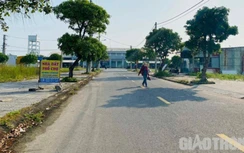 Quảng Nam thông tin về 104 dự án trên địa bàn thuộc diện thanh tra