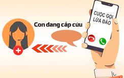 Cuộc gọi lừa đảo, ai gọi?