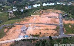 Vụ phân lô, xây biệt thự trái phép: UBND Lâm Đồng chỉ đạo xử lý