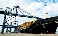 Cục Hàng hải ủng hộ cho cảng SSIT đón tàu lớn kỷ lục