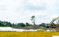 Phó Thủ tướng: Nâng ngay 50% công suất mỏ cát thi công cao tốc vùng ĐBSCL