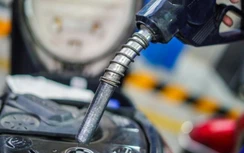 Giá xăng dầu hôm nay 20/3: Phủ sắc xanh, có tăng tiếp?