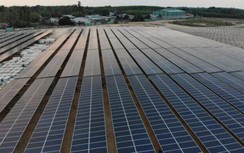 85.000 tỷ làm điện sạch không bán được: Yêu cầu đàm phán giá trước 31/3