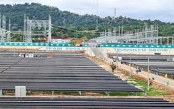 Bộ Công thương tiết lộ thông tin bất ngờ về điện mặt trời Trung Nam 450MW