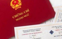 Mua chứng chỉ giả, 49 cán bộ y tế ở Bến Tre lĩnh án