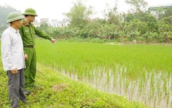 Giăng lưới bẫy chuột, vô tình làm hàng xóm bị điện giật tử vong