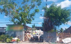 Nam thanh niên cắt tỉa cây bị điện giật tử vong