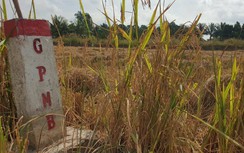 Cần Thơ bố trí cả nghìn tỷ đồng đầu tư hạ tầng giao thông trong năm 2023