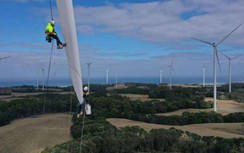 EVN khó đáp ứng "lệnh" của Bộ trưởng về đàm phán giá điện gió, mặt trời