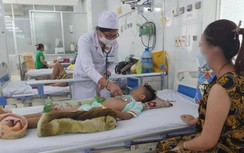 Ca mắc sốt xuất huyết tăng, Bạc Liêu xử lý từ ổ dịch nhỏ, tiêu hủy mầm bệnh