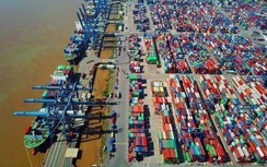 Cảng biển TP.HCM lọt top 30 cảng container hàng đầu thế giới về lưu lượng