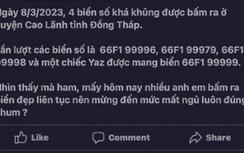 Vụ 4 biển số xe đẹp ở Đồng Tháp: Chưa phát hiện sai phạm