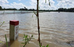 Hậu Giang sẽ giao mặt bằng cao tốc Châu Đốc-Cần Thơ-Sóc Trăng sớm 1 tháng