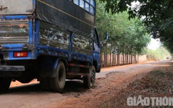 Gia Lai: Đường liên xã hơn 26km xuống cấp toàn tuyến gây mất ATGT