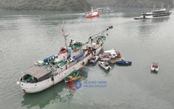 Quảng Ninh đề xuất dừng dịch vụ bay trực thăng tham quan vịnh Hạ Long