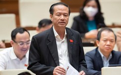 ĐBQH: Sửa Luật Đất đai có giảm được đầu cơ, bong bóng bất động sản?