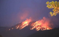 Đã khống chế vụ cháy rừng thông TP Đà Lạt đỏ rực