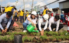 Thí điểm trồng hoa và cây xanh dọc tuyến đường sắt TP.HCM