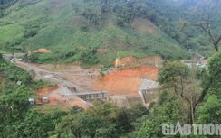Vô tư phá rừng phòng hộ mở đường làm thủy điện ở Quảng Ngãi