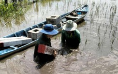 Bổ sung 3 gói thầu tư vấn dự án cao tốc Châu Đốc - Cần Thơ - Sóc Trăng