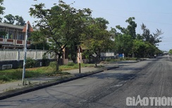 Cảng biển ở Huế bị phạt do “quên” lập báo cáo bảo vệ môi trường