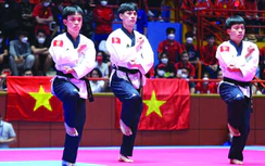 Việt Nam cần làm gì để phát triển kinh tế thể thao?